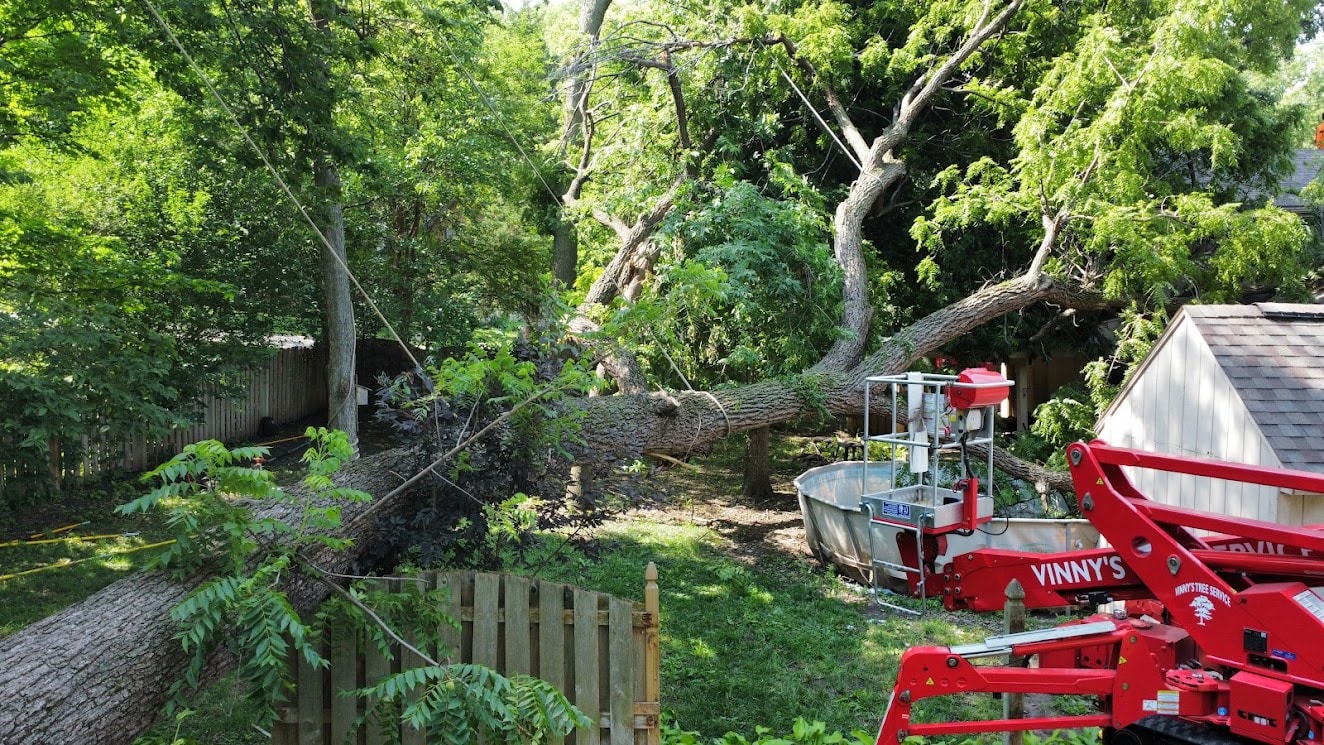 Storm Damage Cleanup — Omaha, NE