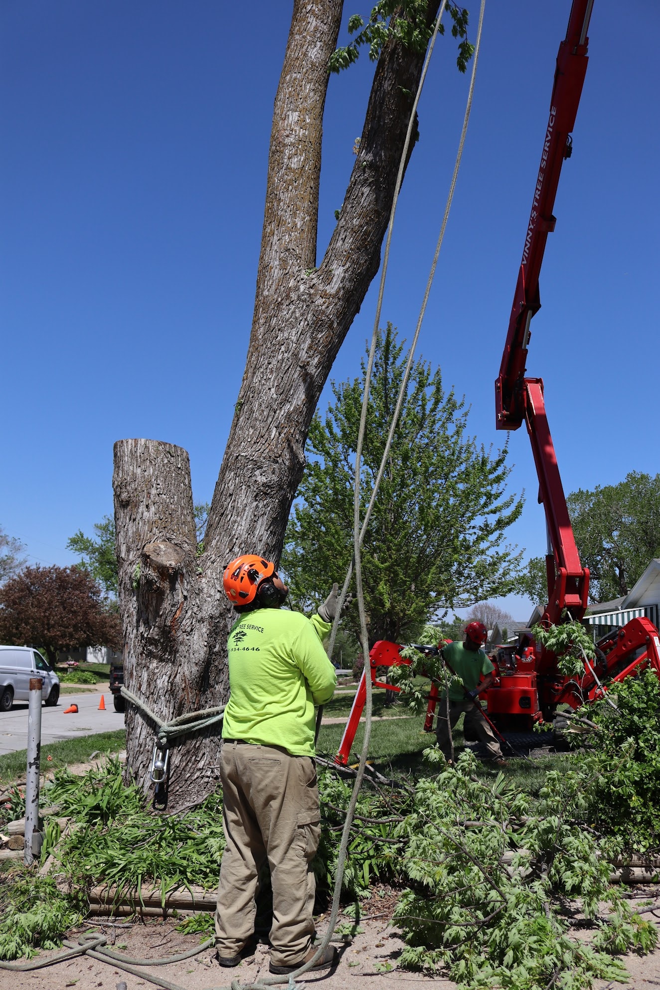 Emergency Tree Removal — Omaha, NE