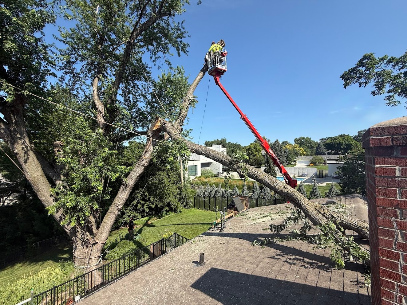 Large Tree Removal — Omaha, NE