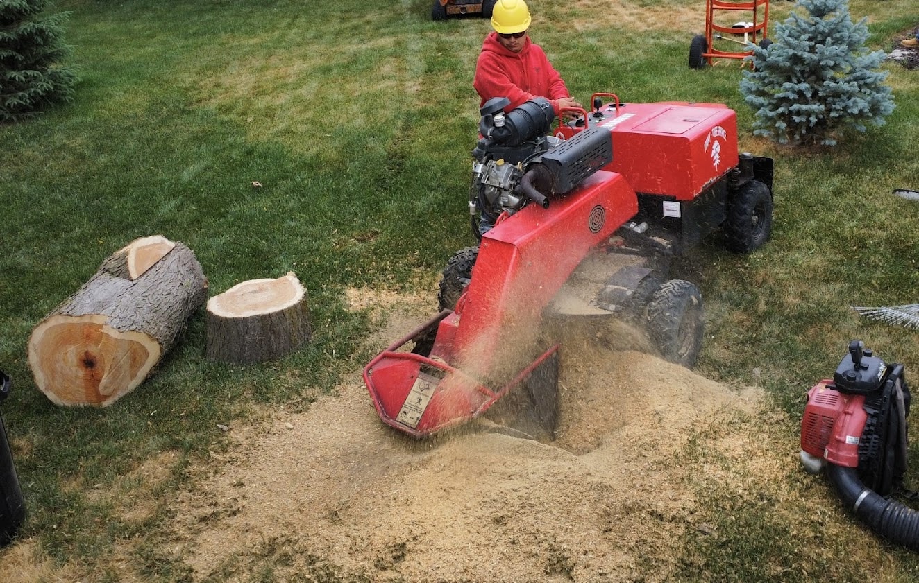 Vinny's Tree Service crew member operating stump grinder in residential backyard in Omaha, NE