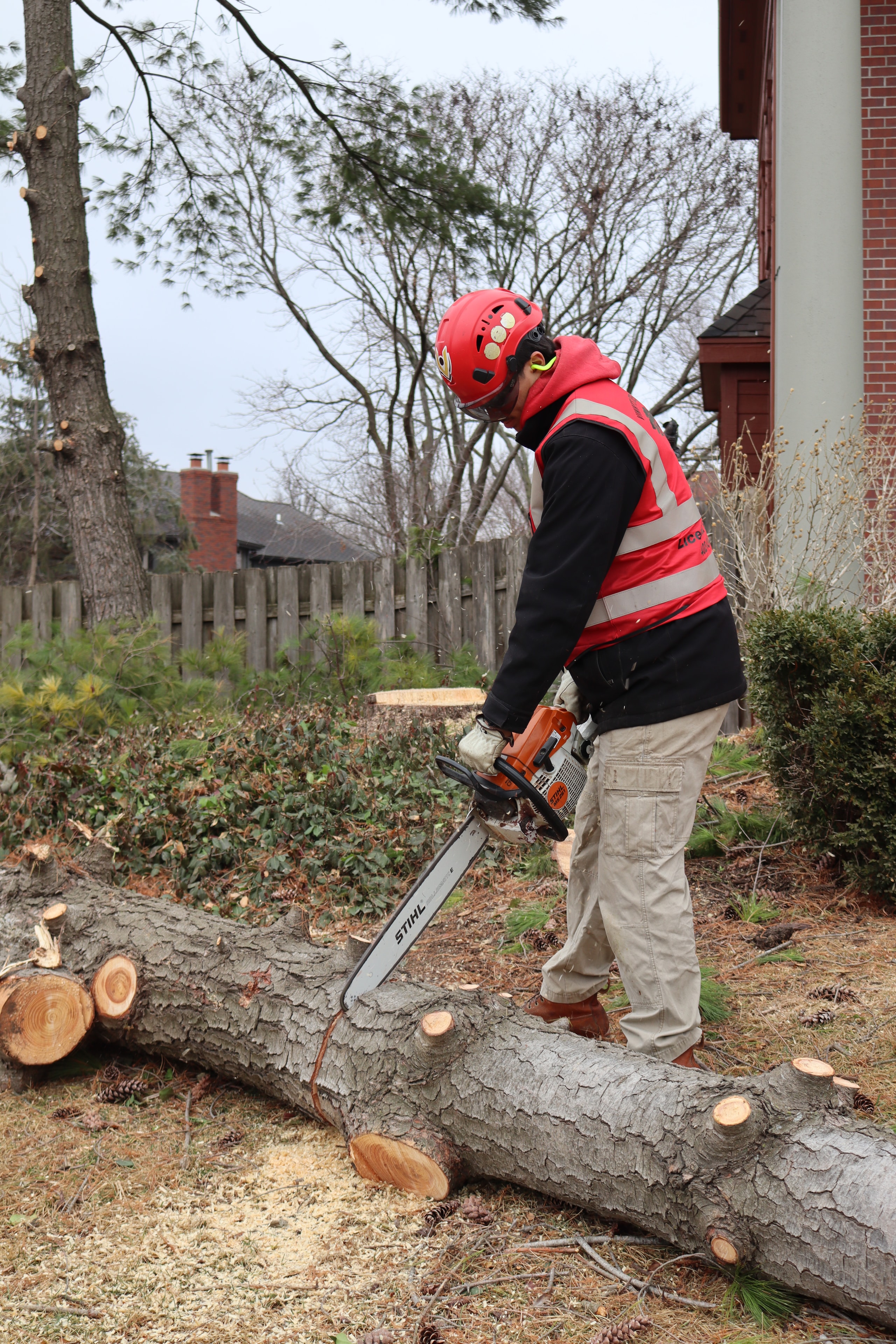 Vinny's Tree Service crew member in red gear using chainsaw to cut fallen tree near residential home