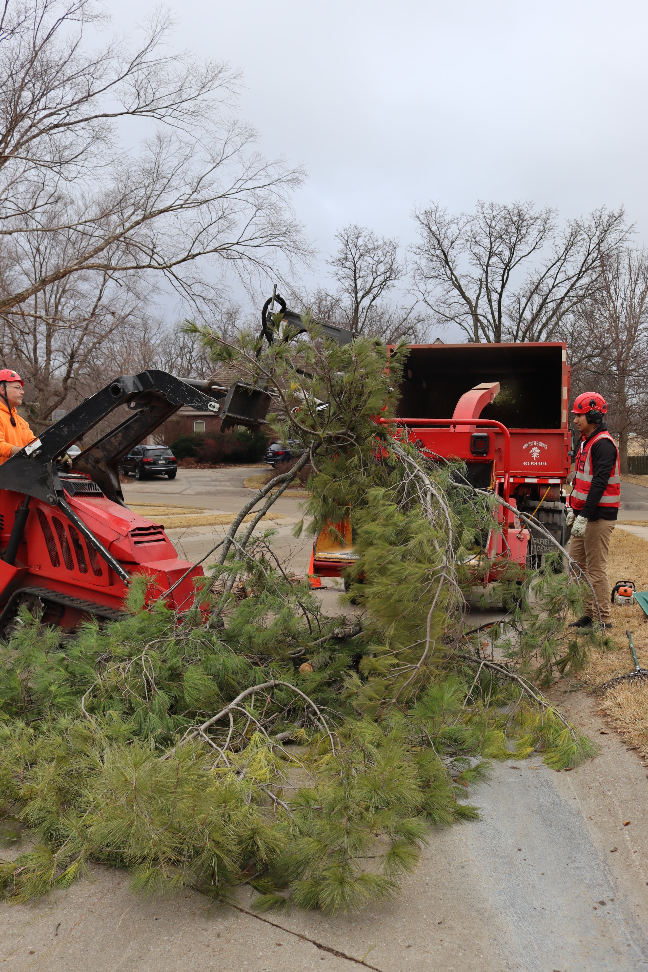 Vinny's Tree Service crew feeding large pine branches into chipper truck during residential cleanup in Omaha