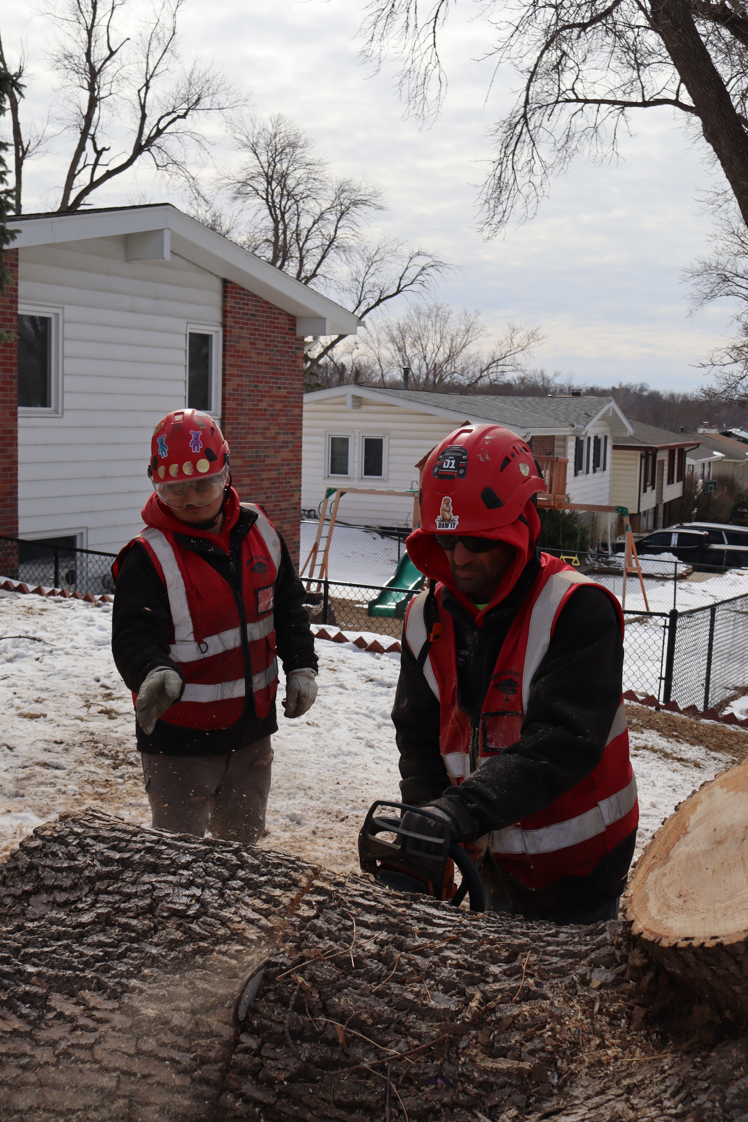 Two Vinny's Tree Service crew members in red winter safety gear posing at job site with fresh cut stump in background
