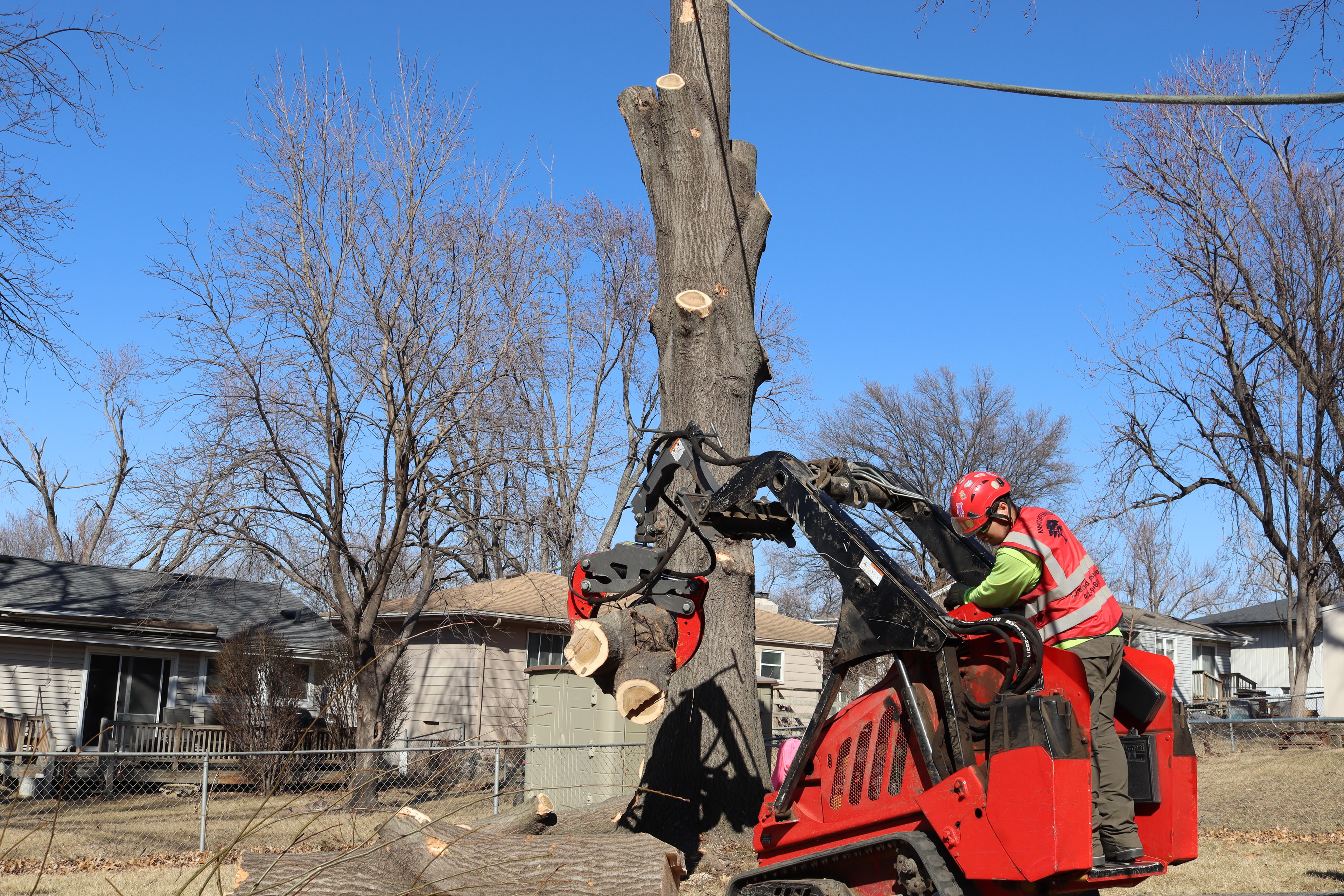 Vinny's Tree Service crew operating skid steer with grapple attachment removing large tree trunk in residential backyard