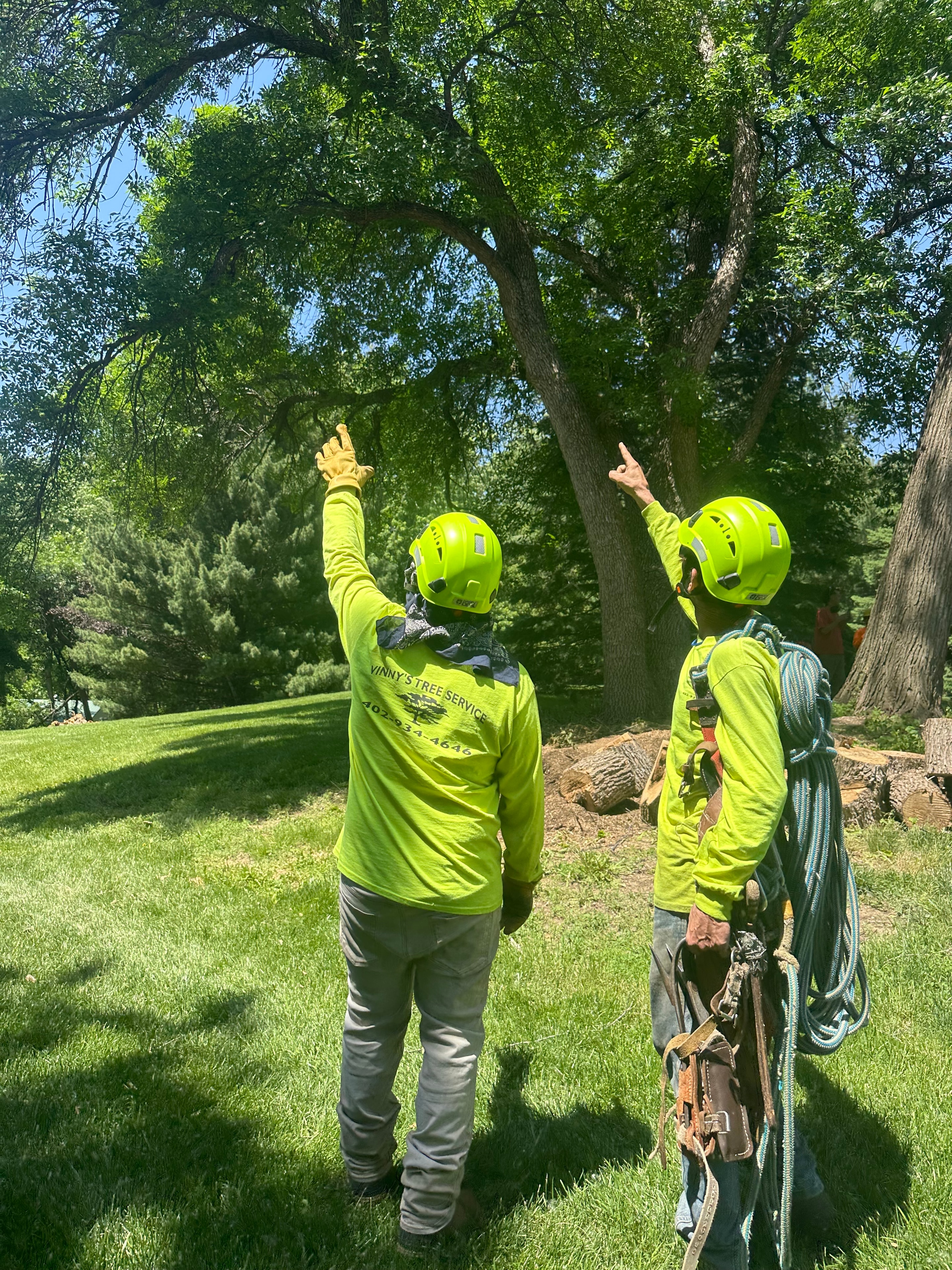 Arborist Services service in Omaha, NE