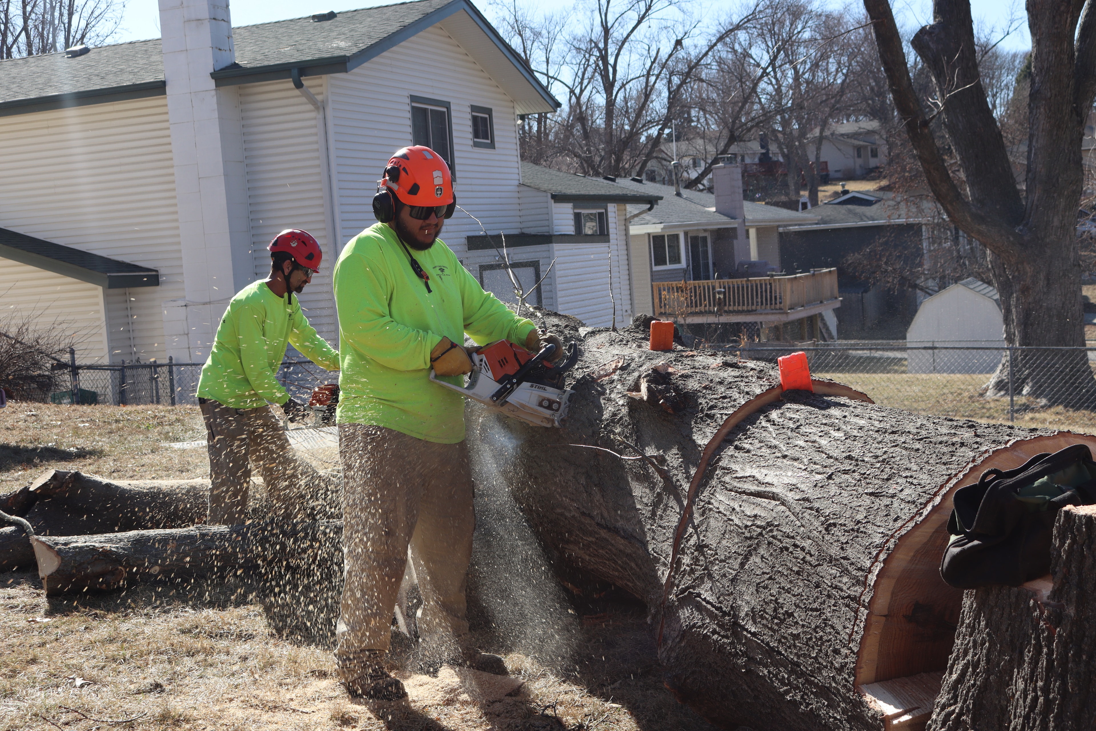 Storm Damage Cleanup service in Omaha, NE